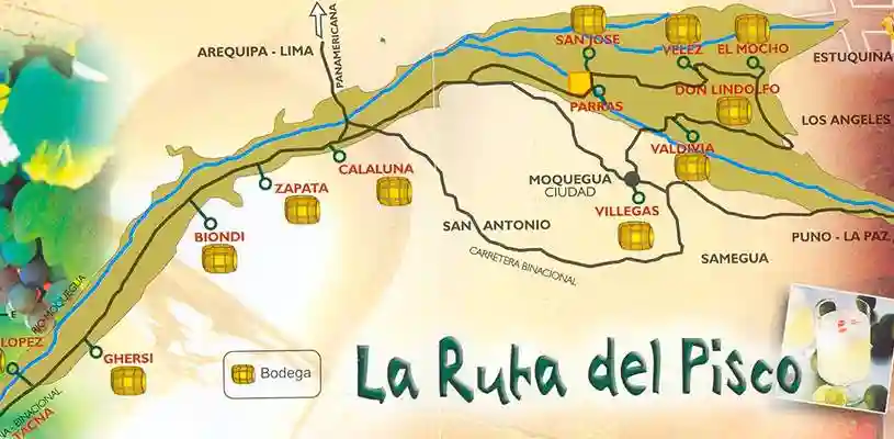 Bodegas y ruta del pisco en Ica: Cómo planificar la visita